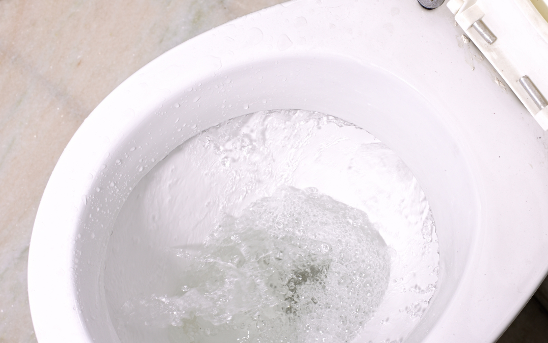 Lær hvordan du slipper af med dårligt lugt fra dit toilet. I denne artikel gennemgår vi hvordan du slipper af med dårligt lugt fra toilettet.